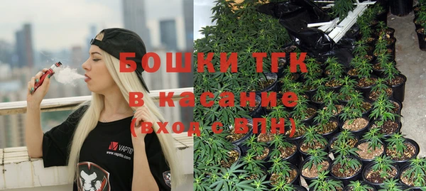 МДПВ Артём