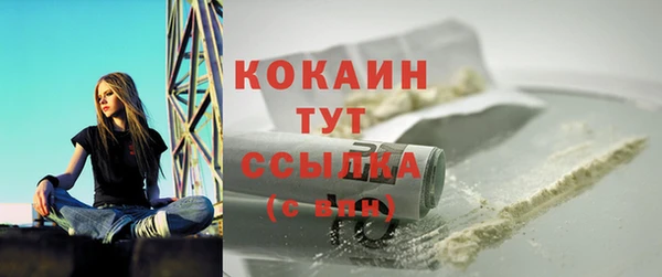 МДПВ Артём