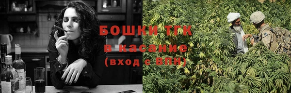 сатива Абаза