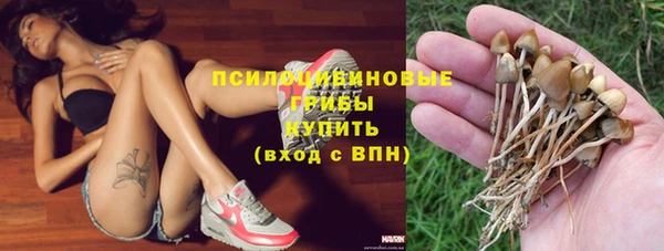 дживик Абинск