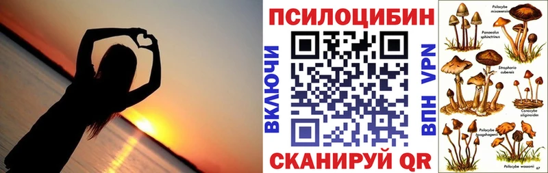 Галлюциногенные грибы ЛСД Байкальск